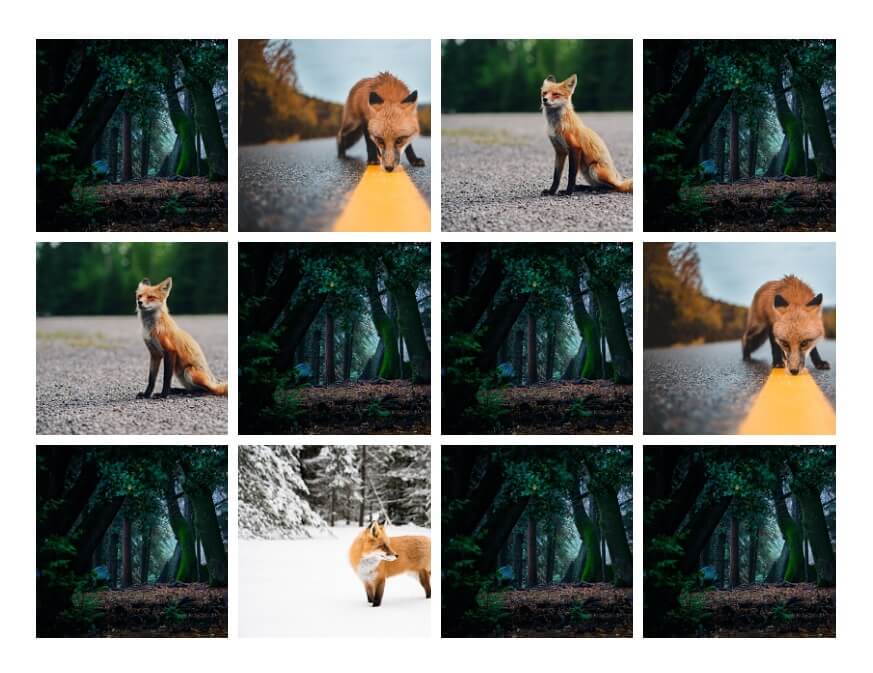 A memory game with fox pictures